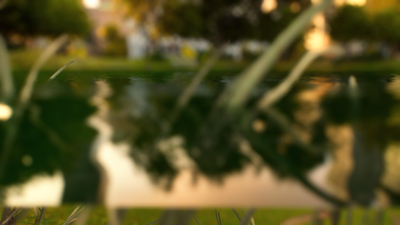 Studies on Breaking Immersion